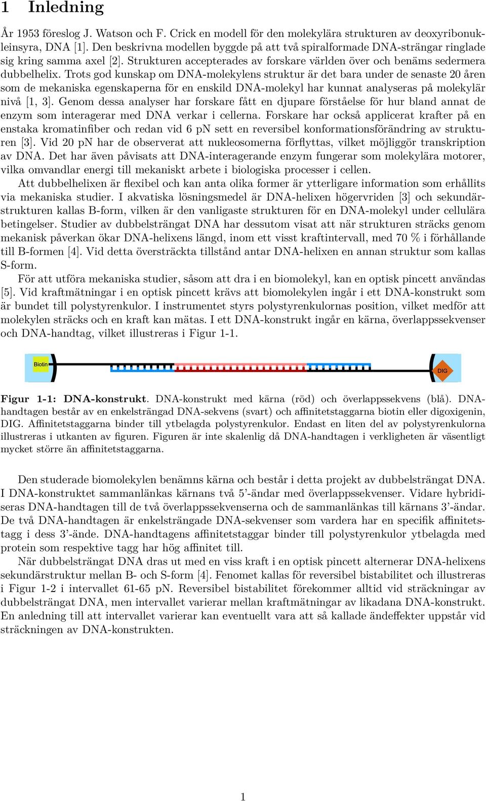 Trots god kunskap om DNA-molekylens struktur är det bara under de senaste 20 åren som de mekaniska egenskaperna för en enskild DNA-molekyl har kunnat analyseras på molekylär nivå [1, 3].