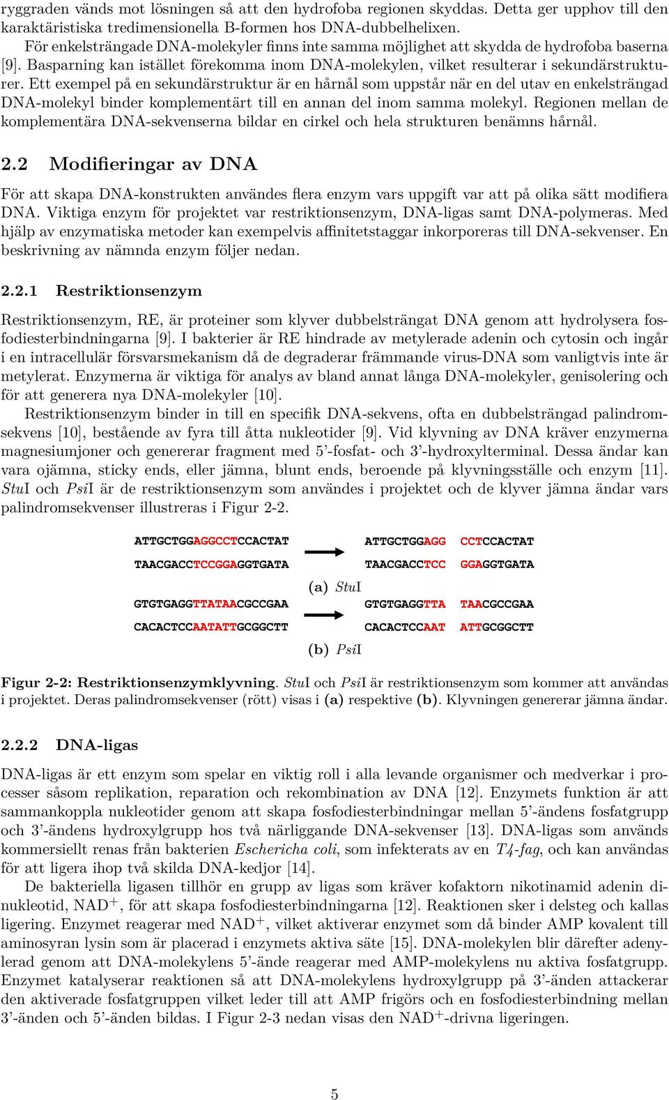 Ett exempel på en sekundärstruktur är en hårnål som uppstår när en del utav en enkelsträngad DNA-molekyl binder komplementärt till en annan del inom samma molekyl.