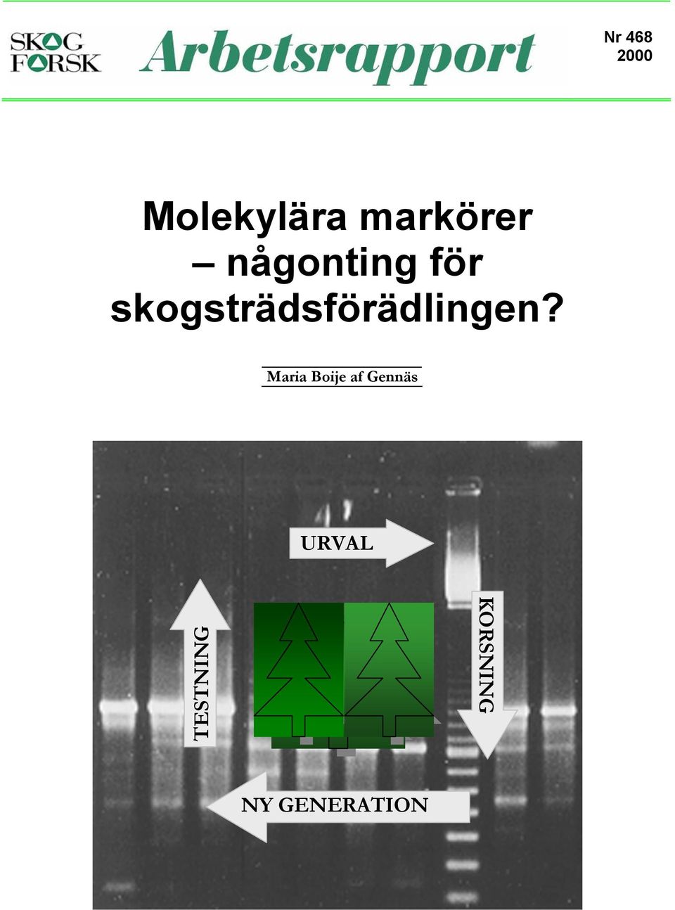 skogsträdsförädlingen?