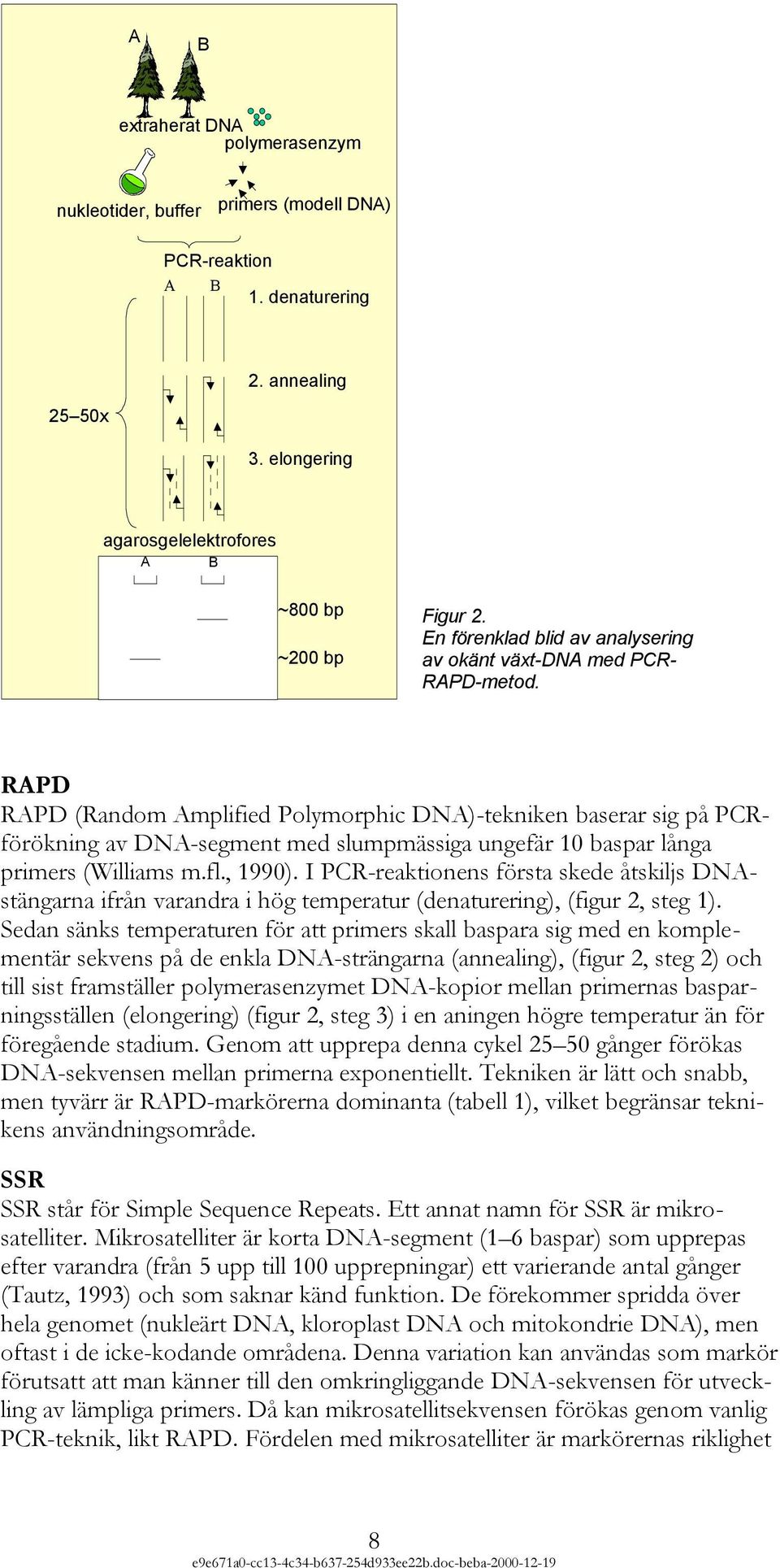 RAPD RAPD (Random Amplified Polymorphic DNA)-tekniken baserar sig på PCRförökning av DNA-segment med slumpmässiga ungefär 10 baspar långa primers (Williams m.fl., 1990).