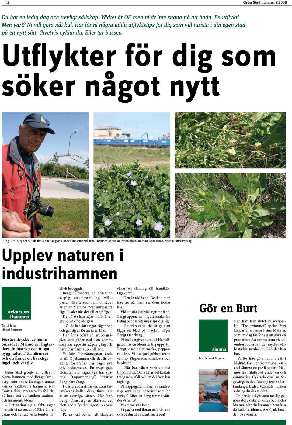 Utflykter för dig som söker något nytt Bengt Örneberg har sett de flesta arter av gräs i landet. Industriområdena i hamnen har en intressant flora. Th ovan: Sandsenap. Nedan: Bitterkrassing.