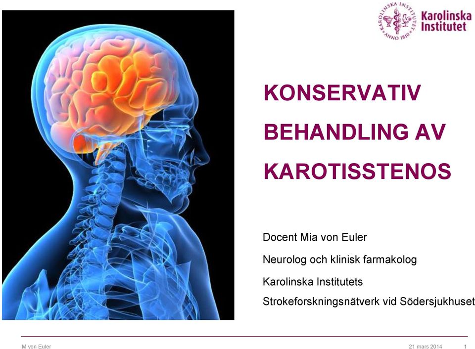 Karolinska Institutets Strokeforskningsnätverk