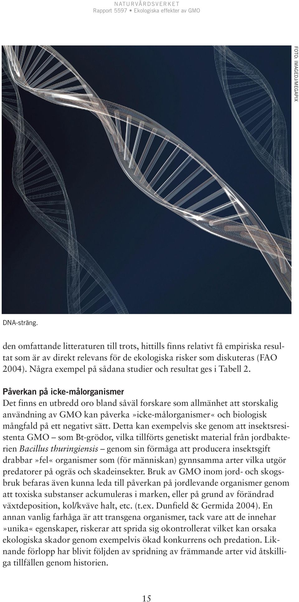 Påverkan på icke-målorganismer Det finns en utbredd oro bland såväl forskare som allmänhet att storskalig användning av GMO kan påverka»icke-målorganismer«och biologisk mångfald på ett negativt sätt.