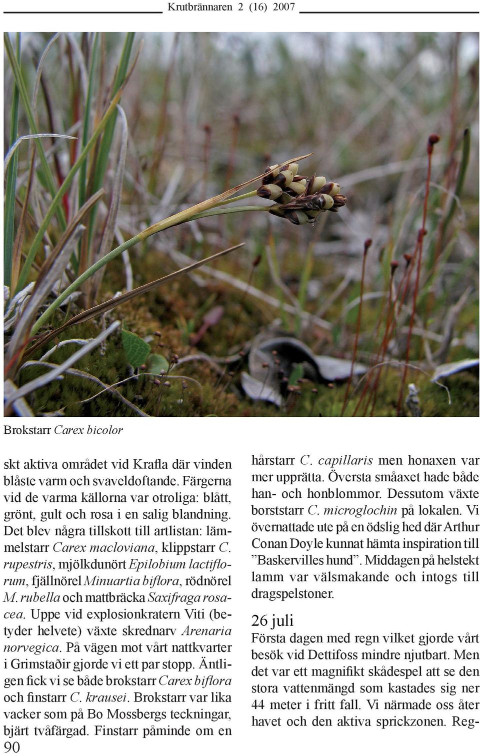 rupestris, mjölkdunört Epilobium lactiflorum, fjällnörel Minuartia biflora, rödnörel M. rubella och mattbräcka Saxifraga rosacea.