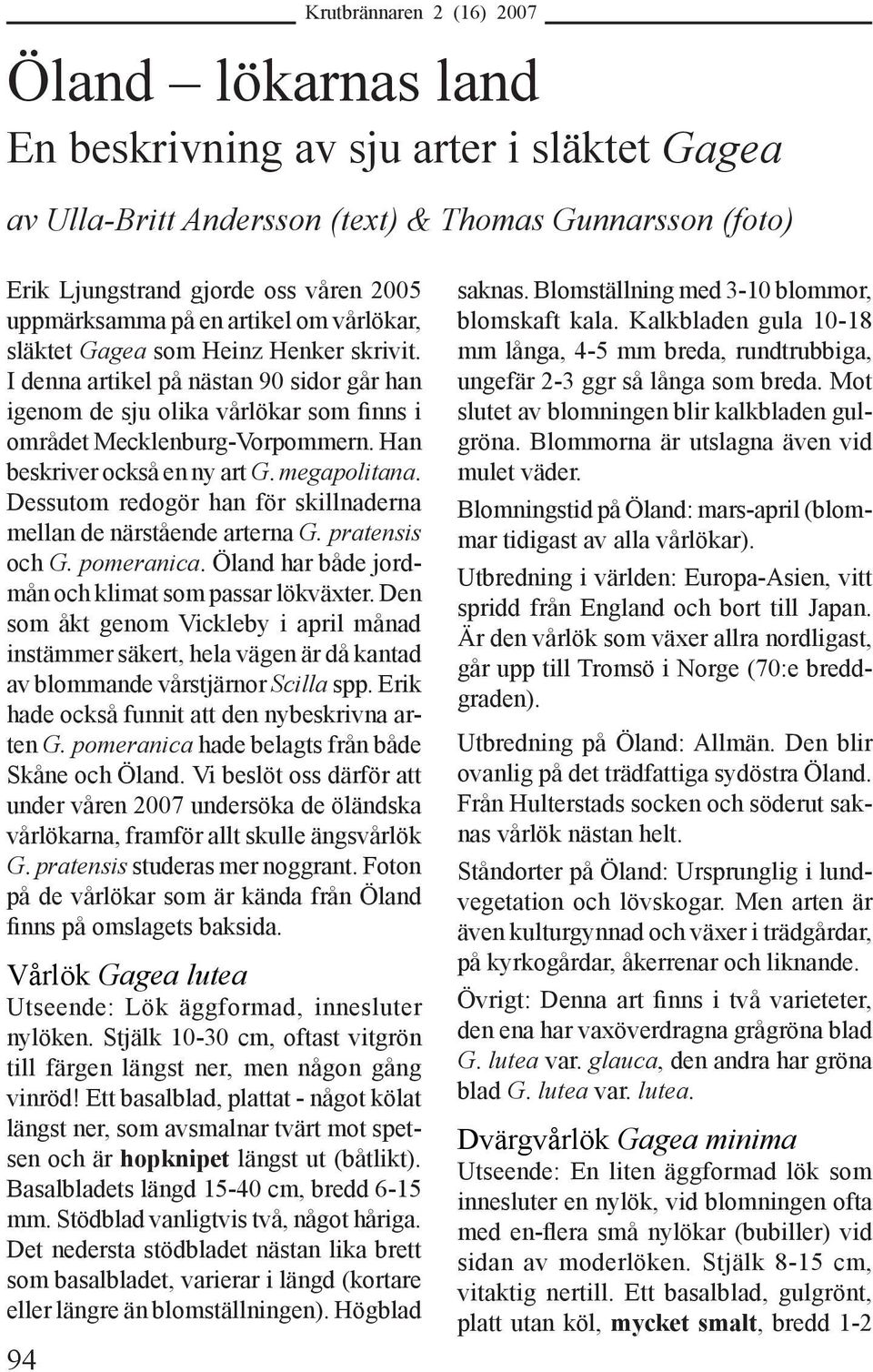 megapolitana. Dessutom redogör han för skillnaderna mellan de närstående arterna G. pratensis och G. pomeranica. Öland har både jordmån och klimat som passar lökväxter.