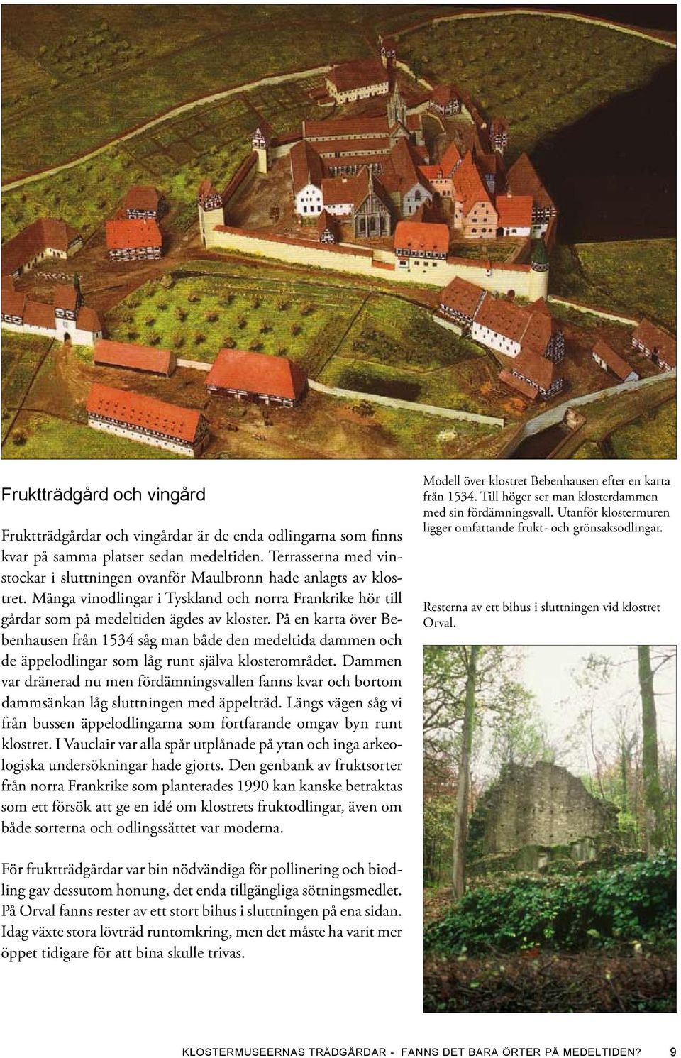 På en karta över Bebenhausen från 1534 såg man både den medeltida dammen och de äppelodlingar som låg runt själva klosterområdet.