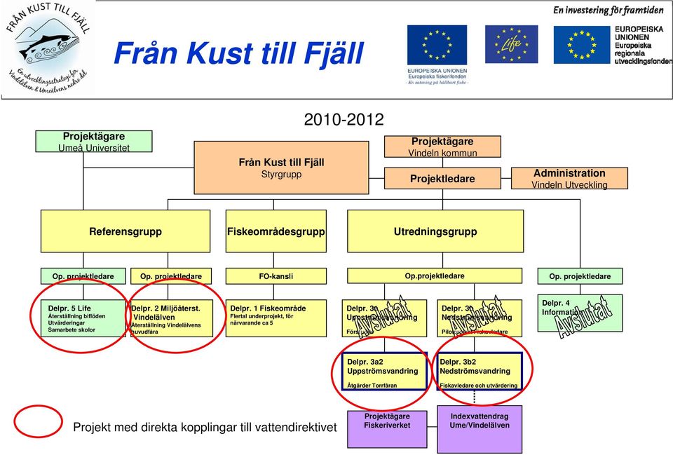 Vindelälven Återställning Vindelälvens huvudfåra Delpr. 1 Fiskeområde Flertal underprojekt, för närvarande ca 5 Delpr. 3a Uppströmsvandring Förstudier Delpr.