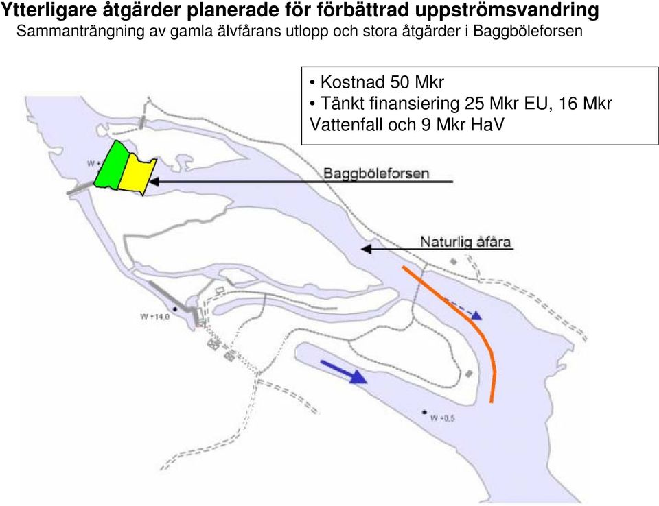 utlopp och stora åtgärder i Baggböleforsen Kostnad 50