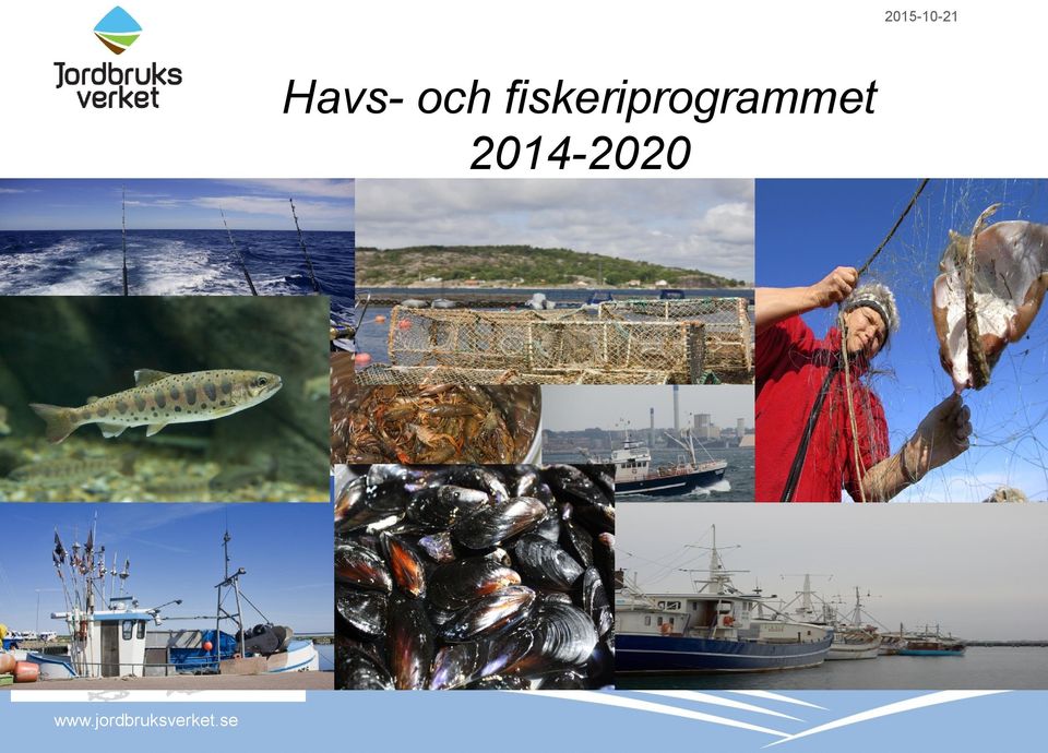 fiskeriprogrammet