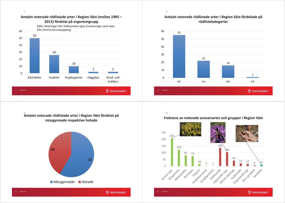 60 50 8 Antalet noterade rödlistade arter i Region Väst fördelade på rödlistekategorier 55 40 40 30 20 0 0 26 0 2 2 Kärlväxter Insekter Kryptogamer Däggdjur Grod- och