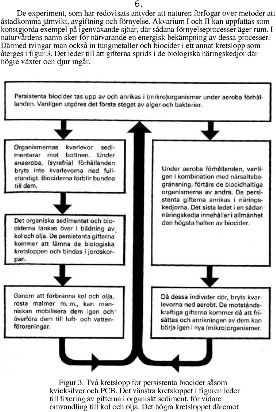 I naturvårdens namn sker för närvarande en energisk bekämpning av dessa processer. Därmed tvingar man också in tungmetaller och biocider i ett annat kretslopp som återges i figur 3.