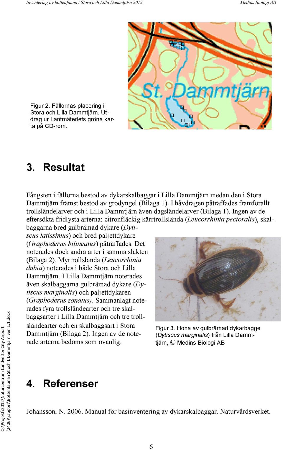 I håvdragen påträffades framförallt trollsländelarver och i Lilla Dammtjärn även dagsländelarver (Bilaga 1).