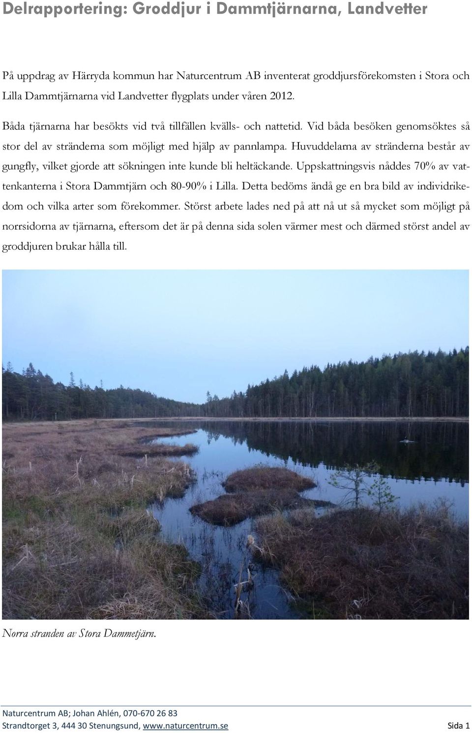 Huvuddelarna av stränderna består av gungfly, vilket gjorde att sökningen inte kunde bli heltäckande. Uppskattningsvis nåddes 70% av vattenkanterna i Stora Dammtjärn och 80-90% i Lilla.