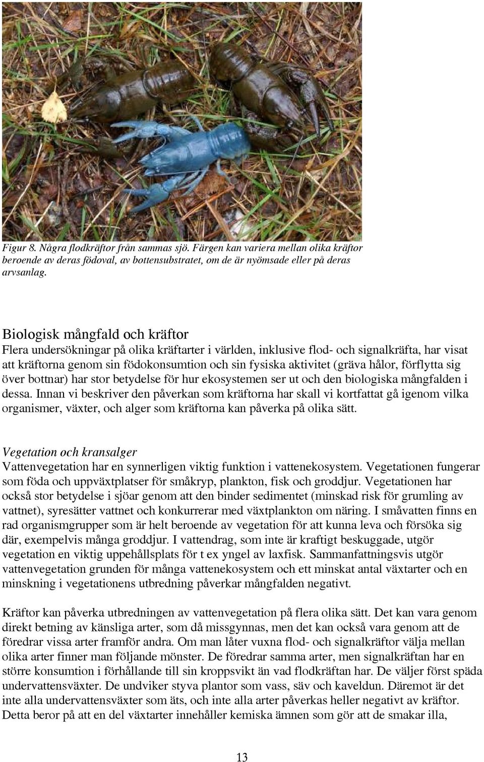 hålor, förflytta sig över bottnar) har stor betydelse för hur ekosystemen ser ut och den biologiska mångfalden i dessa.