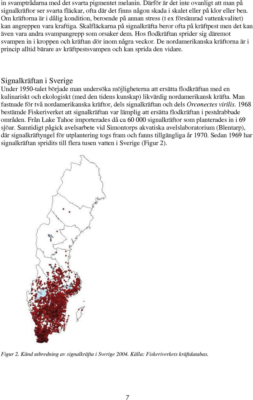 Skalfläckarna på signalkräfta beror ofta på kräftpest men det kan även vara andra svampangrepp som orsaker dem.