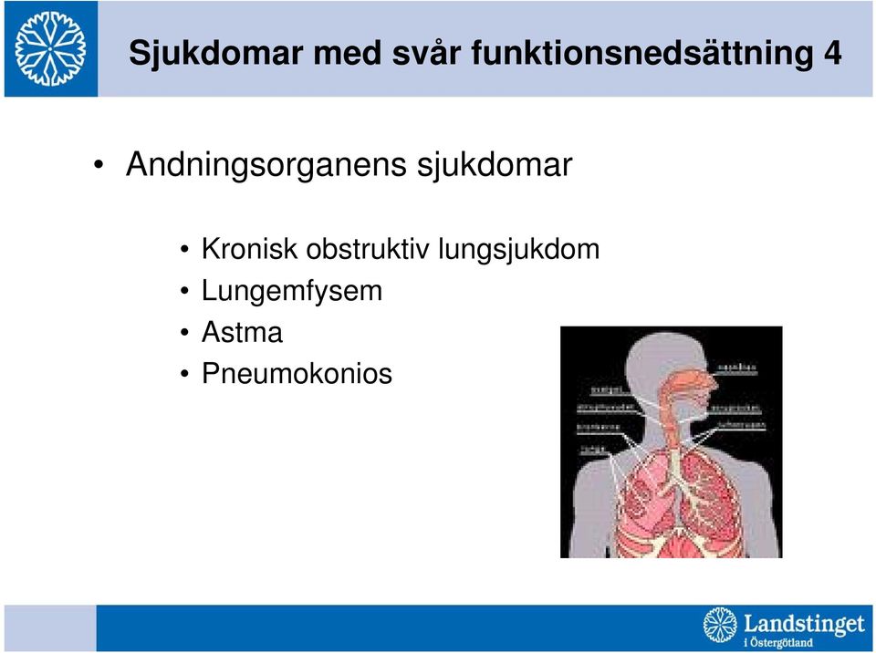 Andningsorganens sjukdomar