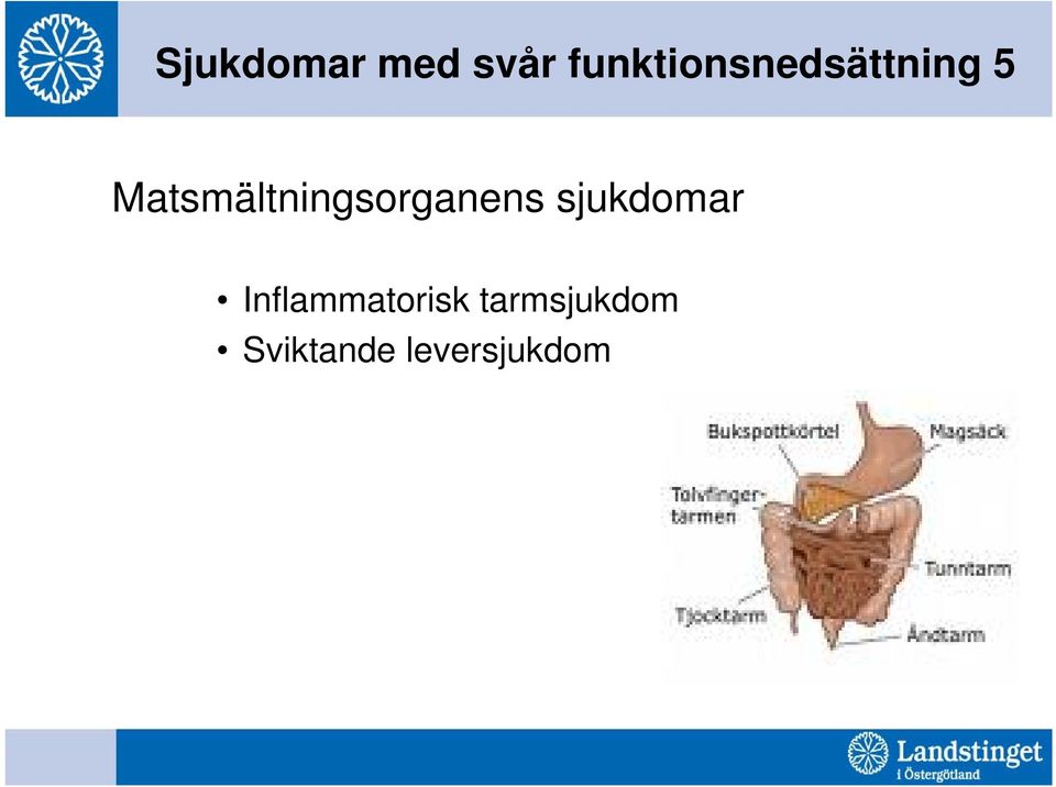 Matsmältningsorganens