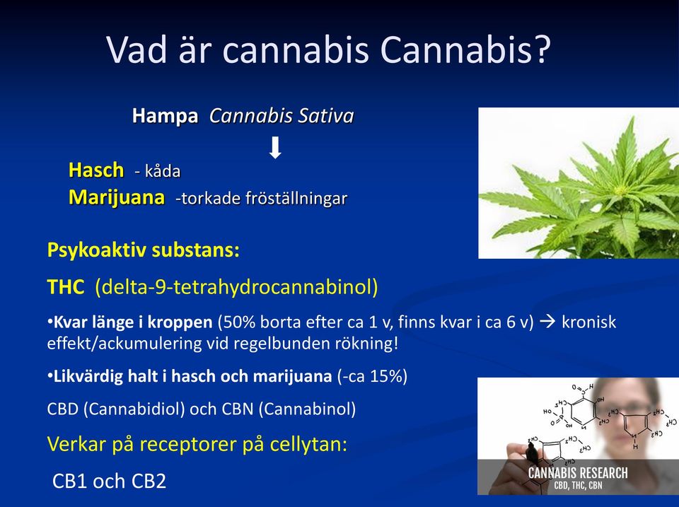 (delta-9-tetrahydrocannabinol) Kvar länge i kroppen (50% borta efter ca 1 v, finns kvar i ca 6 v)