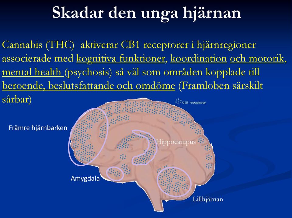 (psychosis) så väl som områden kopplade till beroende, beslutsfattande och