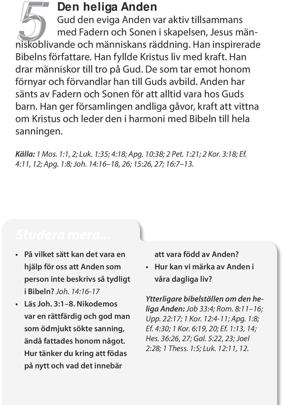 Anden har sänts av Fadern och Sonen för att alltid vara hos Guds barn. Han ger församlingen andliga gåvor, kraft att vittna om Kristus och leder den i harmoni med Bibeln till hela sanningen.