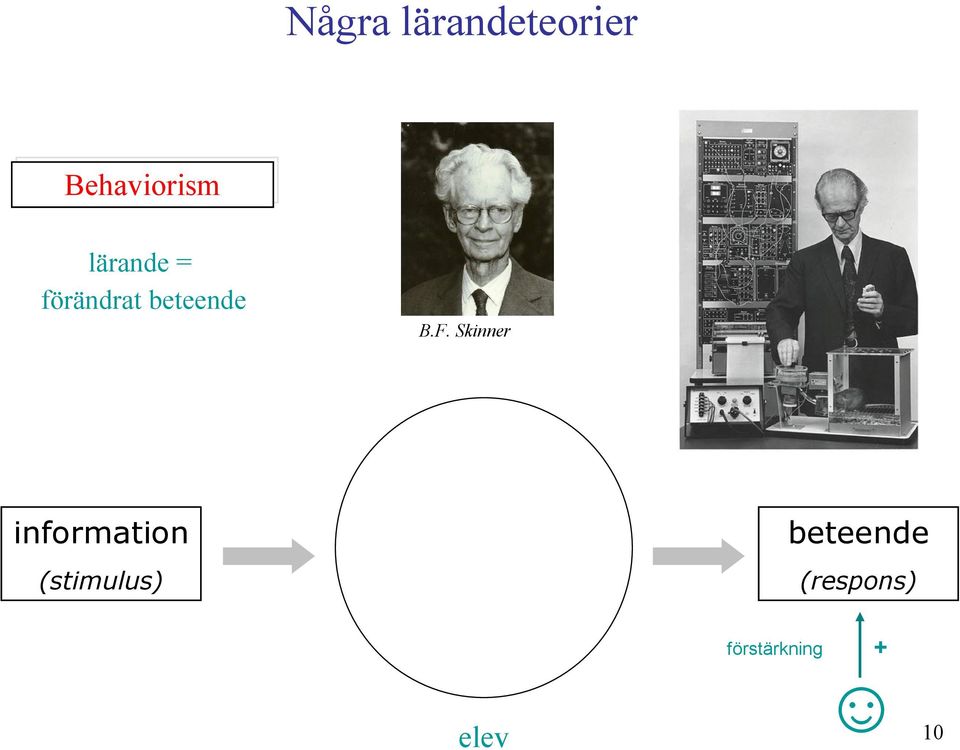 Skinner information beteende