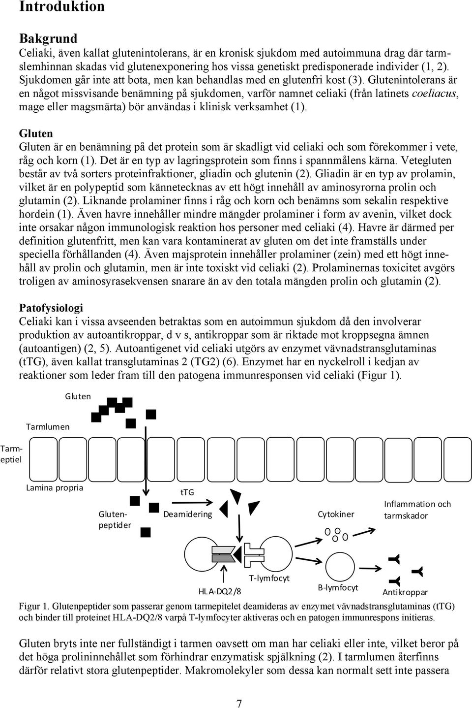 Glutenintolerans är en något missvisande benämning på sjukdomen, varför namnet celiaki (från latinets coeliacus, mage eller magsmärta) bör användas i klinisk verksamhet (1).