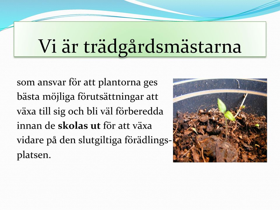 växa till sig och bli väl förberedda innan de