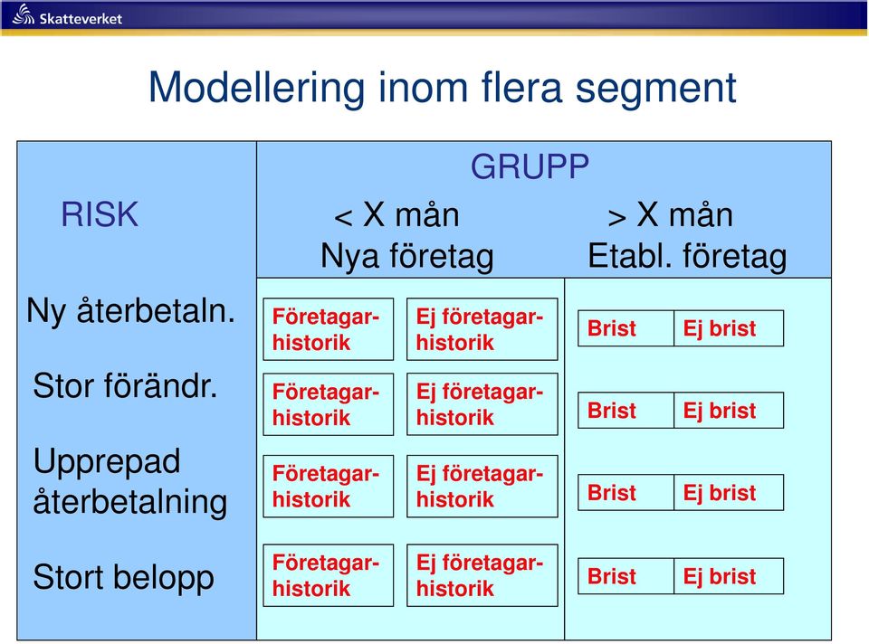 företag Ej företagarhistorik Ej företagarhistorik Ej företagarhistorik Brist Brist Brist Ej