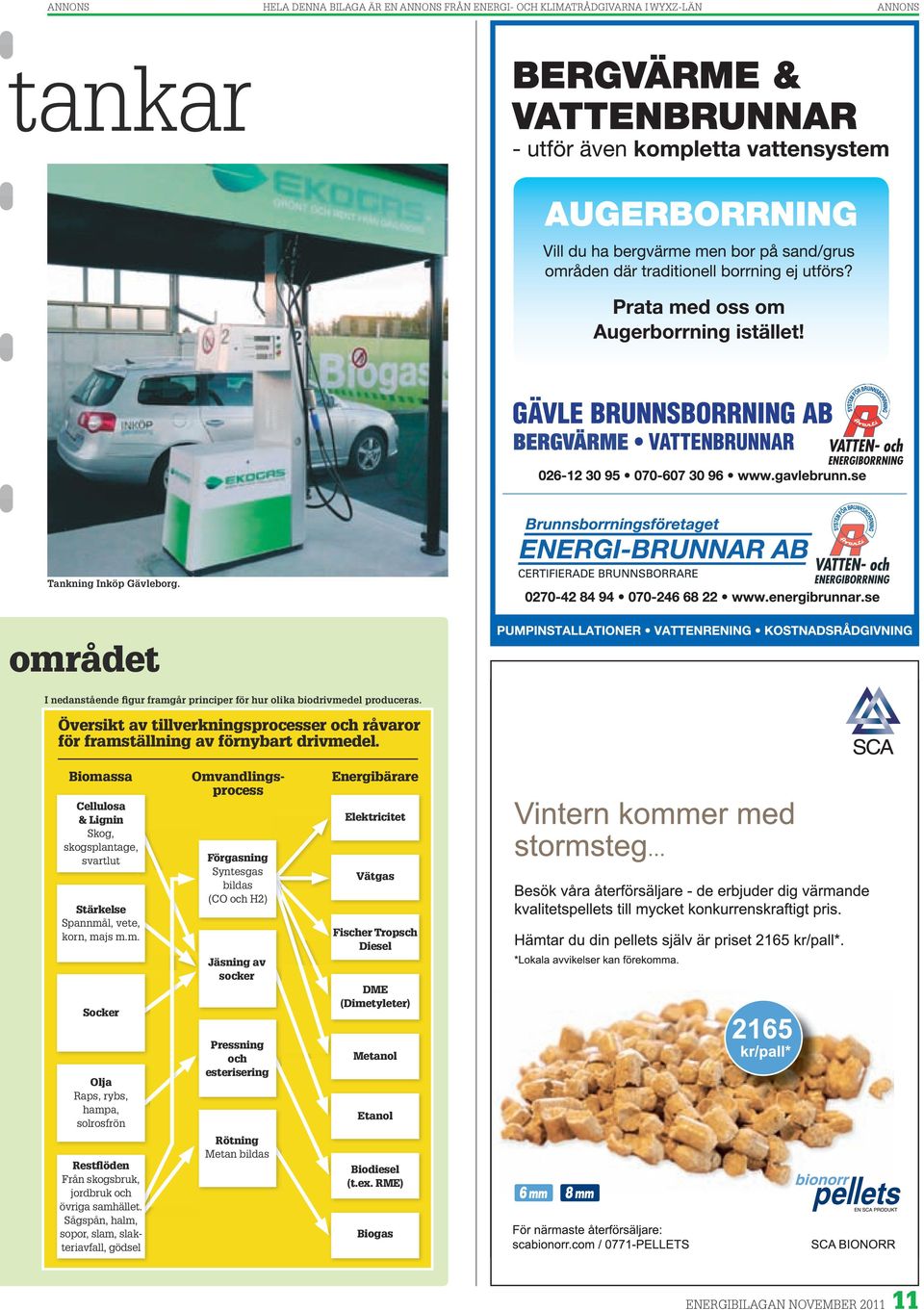 Biomassa Cellulosa & Lignin Skog, skogsplantage, svartlut Stärkelse Spannmål, vete, korn, majs m.m. Socker Omvandlingsprocess Förgasning Syntesgas bildas (CO och H2) Jäsning av socker Energibärare