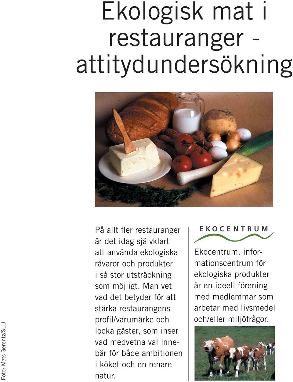 Man vet vad det betyder för att stärka restaurangens profil/varumärke och locka gäster, som inser vad medvetna val innebär för