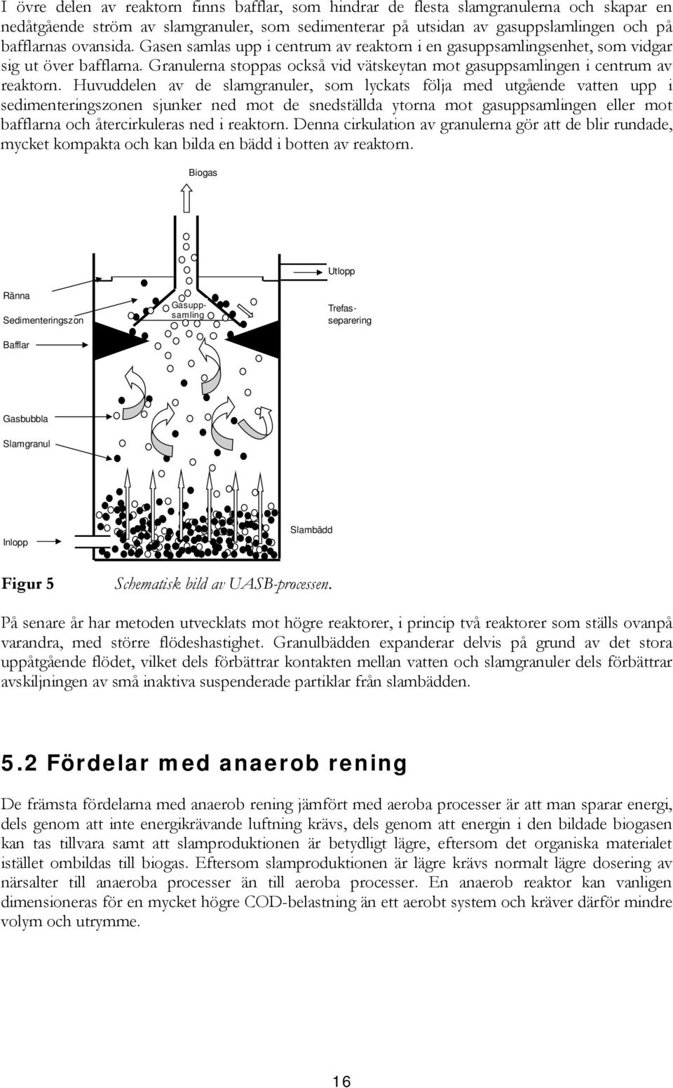 Huvuddelen av de slamgranuler, som lyckats följa med utgående vatten upp i sedimenteringszonen sjunker ned mot de snedställda ytorna mot gasuppsamlingen eller mot bafflarna och återcirkuleras ned i