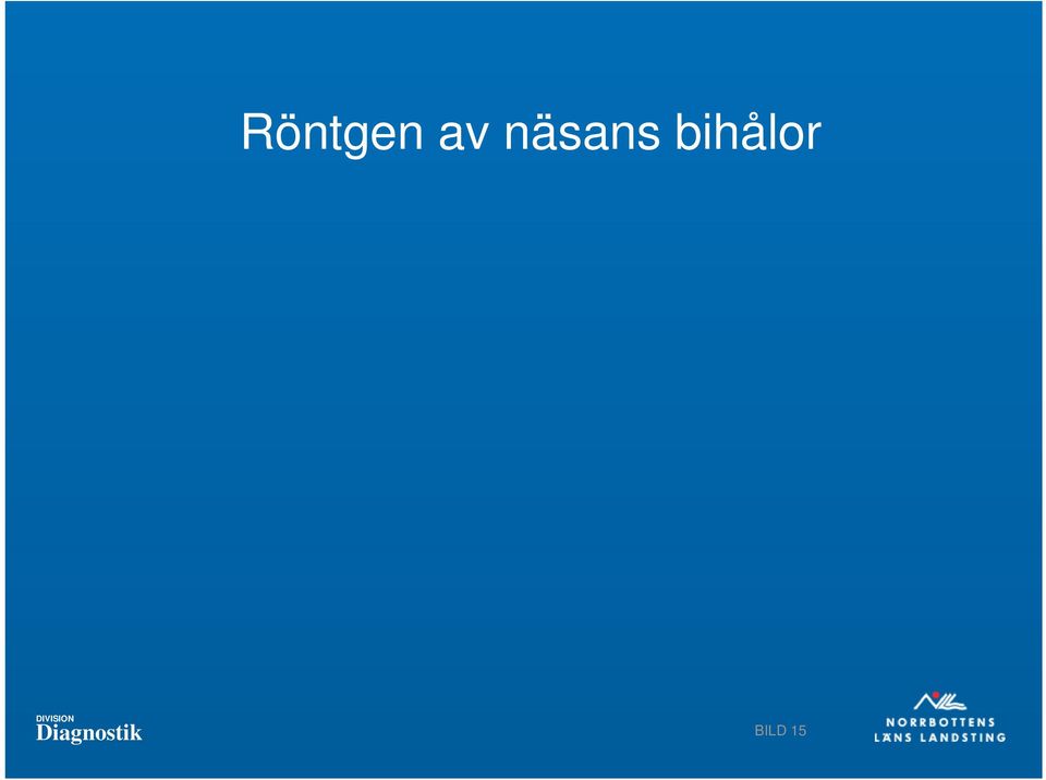 bihålor