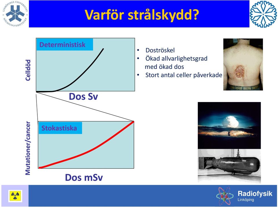 allvarlighetsgrad med ökad dos