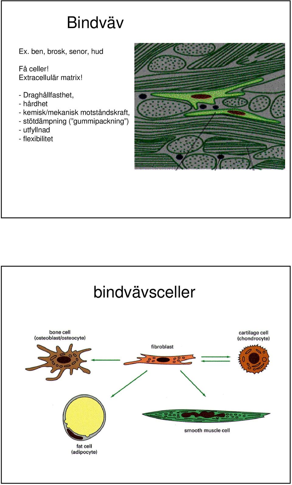 - Draghållfasthet, - hårdhet - kemisk/mekanisk