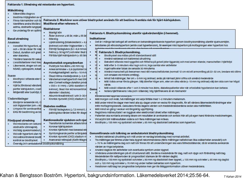 bakgrundsinformation.