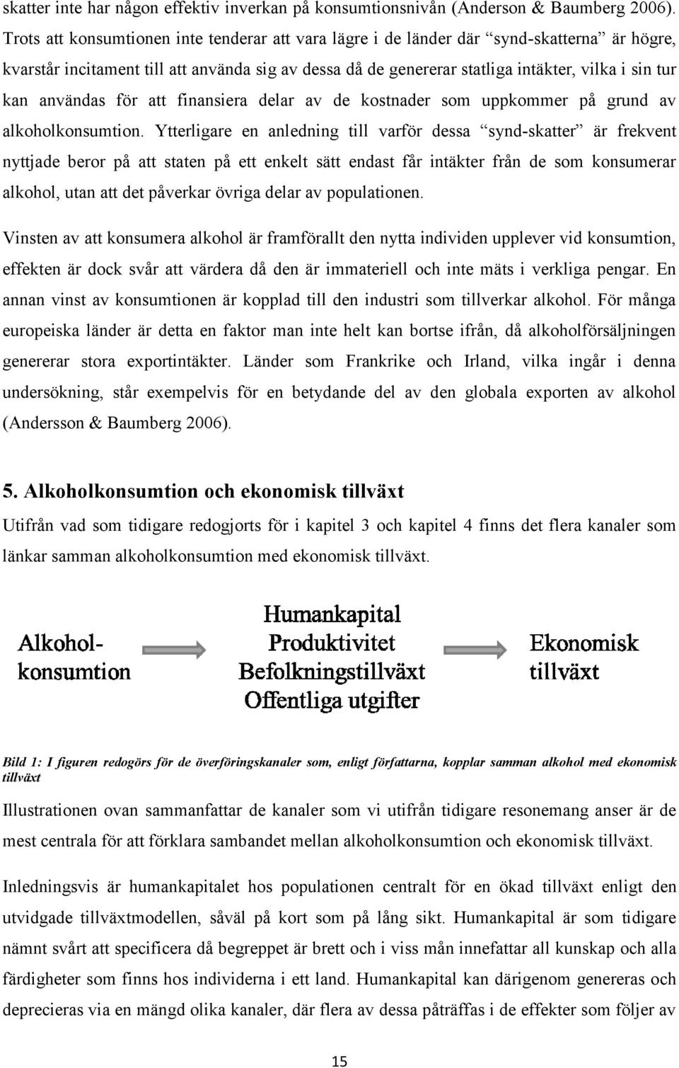 användas för att finansiera delar av de kostnader som uppkommer på grund av alkoholkonsumtion.