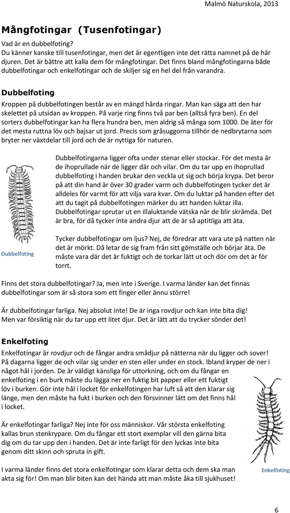 Man kan säga att den har skelettet på utsidan av kroppen. På varje ring finns två par ben (alltså fyra ben). En del sorters dubbelfotingar kan ha flera hundra ben, men aldrig så många som 1000.