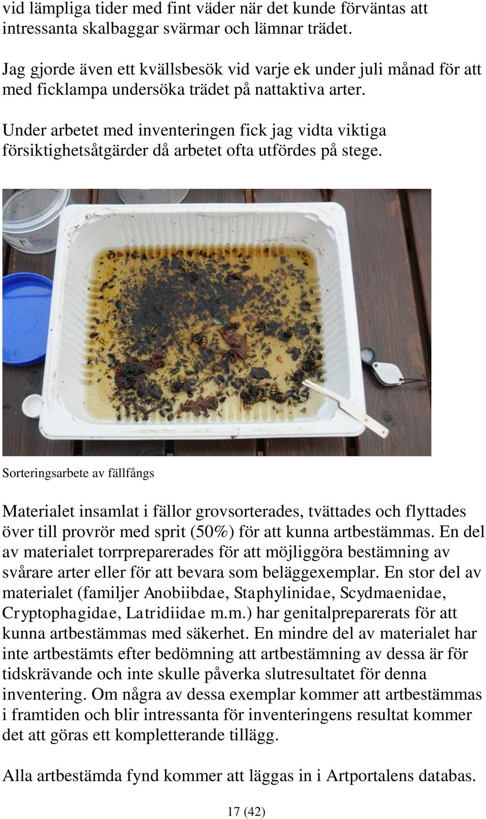 Under arbetet med inventeringen fick jag vidta viktiga försiktighetsåtgärder då arbetet ofta utfördes på stege.