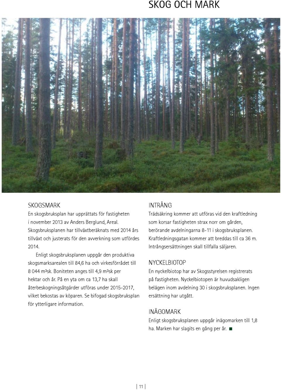 Enligt skogsbruksplanen uppgår den produktiva skogsmarksarealen till 84,6 ha och virkesförrådet till 8 044 m³sk. Boniteten anges till 4,9 m³sk per hektar och år.