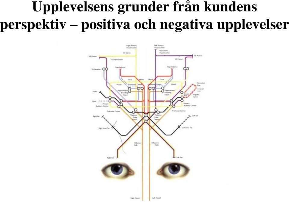 kundens perspektiv