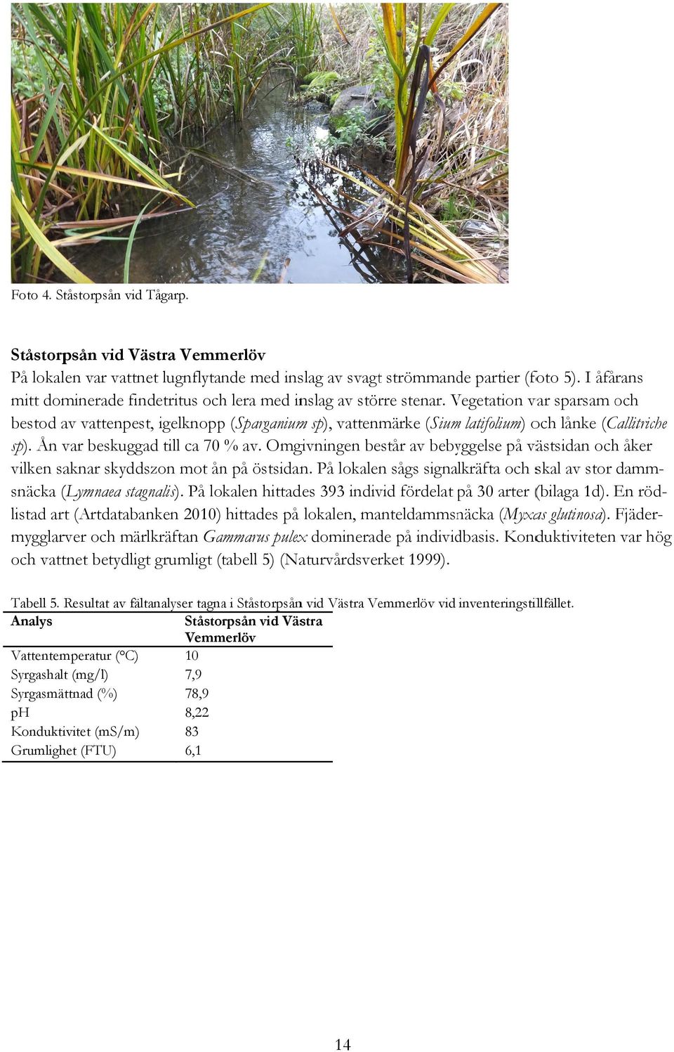 Vegetation V var sparsam och bestod av vattenpest, igelknoppp (Sparganiumm sp), vattenmärke (Siumm latifolium) och lånke (Callitriche sp). Ån var beskuggad till ca 70 % av.