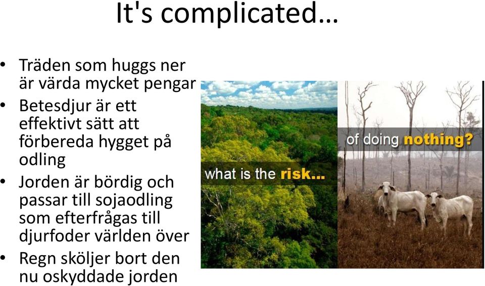 och passar till sojaodling som efterfrågas till djurfoder