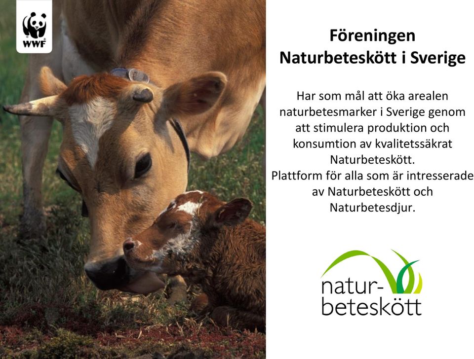 produktion och konsumtion av kvalitetssäkrat Naturbeteskött.