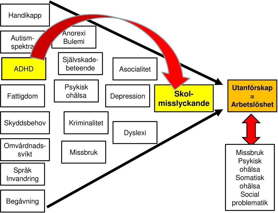 Kriminalitet Dyslexi Omvårdnadssvíkt Språk Invandring Begåvning Missbruk Missbruk