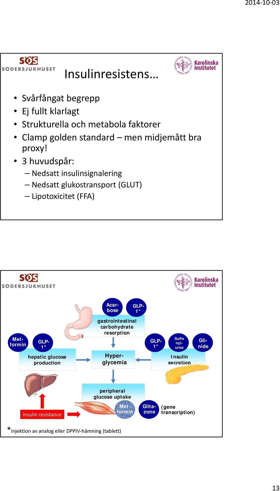 gastrointestinal carbohydrate resorption Hyperglycemia Glinide Acarbose DPPIV- GLPh/GLP- 1* 1 GLP- 1* Insulin secretion Sulfo nylurea