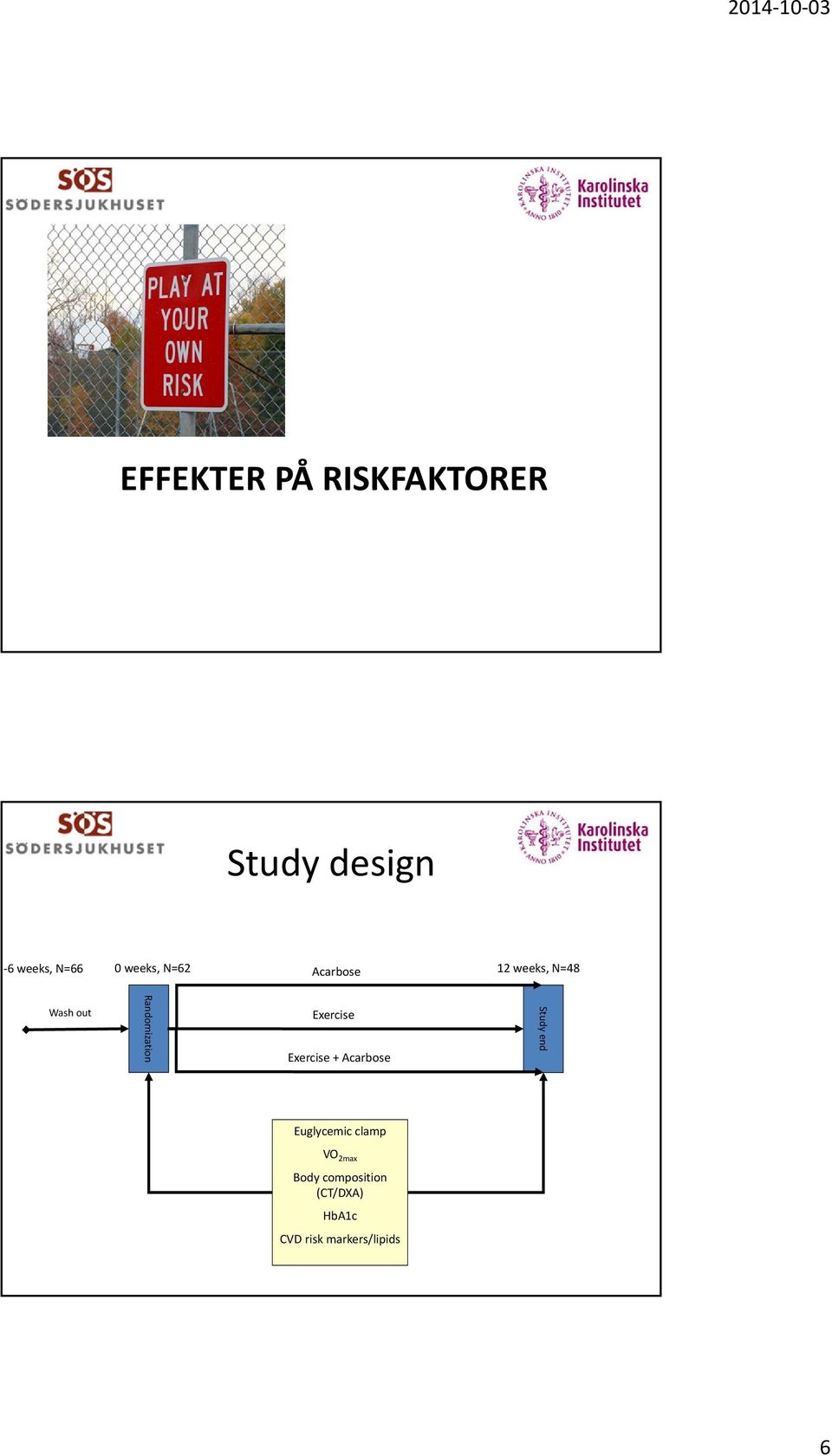 Exercise Exercise + Acarbose Study end Euglycemic clamp VO