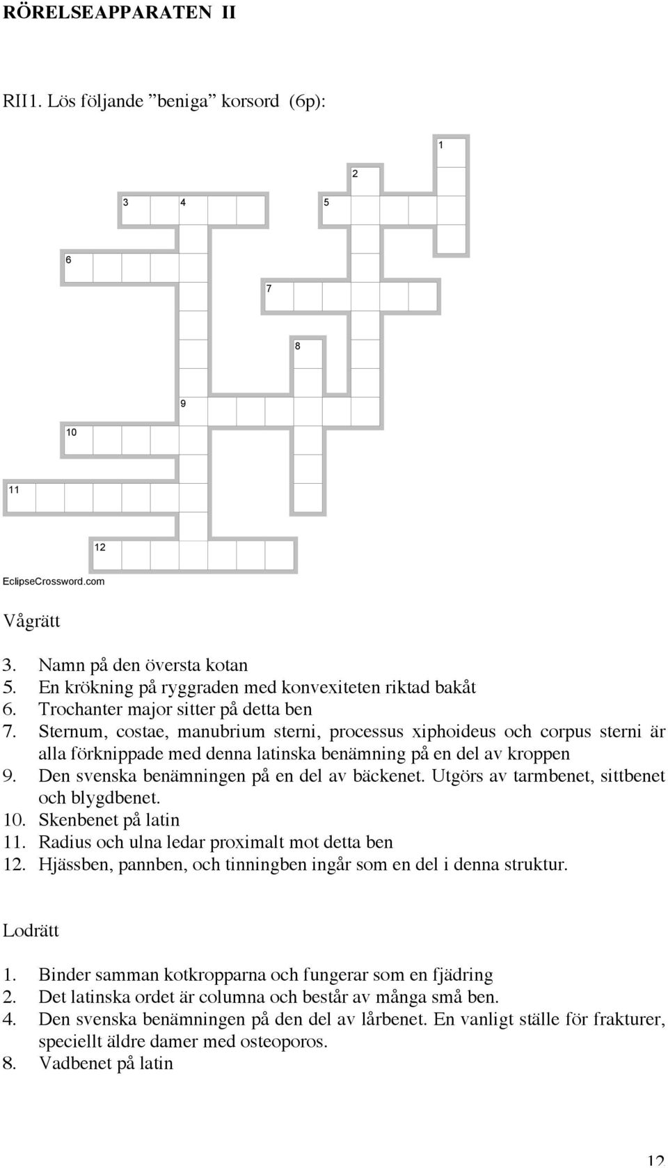 Sternum, costae, manubrium sterni, processus xiphoideus och corpus sterni är alla förknippade med denna latinska benämning på en del av kroppen 9. Den svenska benämningen på en del av bäckenet.