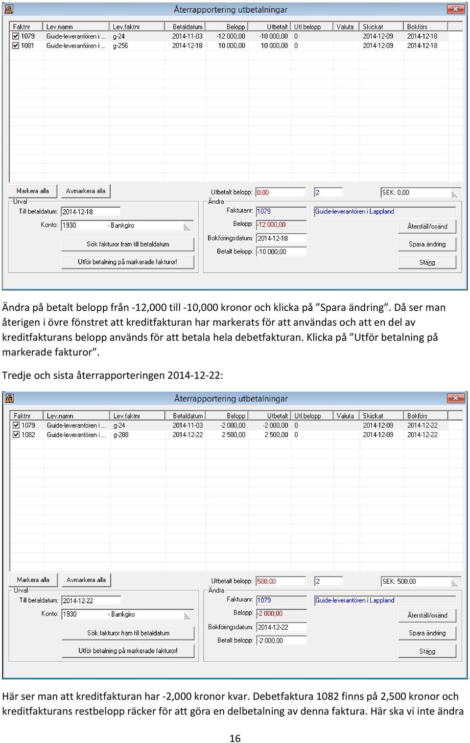 att betala hela debetfakturan. Klicka på Utför betalning på markerade fakturor.