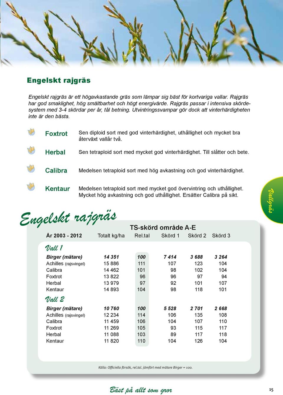 Foxtrot Herbal Sen diploid sort med god vinterhärdighet, uthållighet och mycket bra återväxt vallår två. Sen tetraploid sort med mycket god vinterhärdighet. Till slåtter och bete.