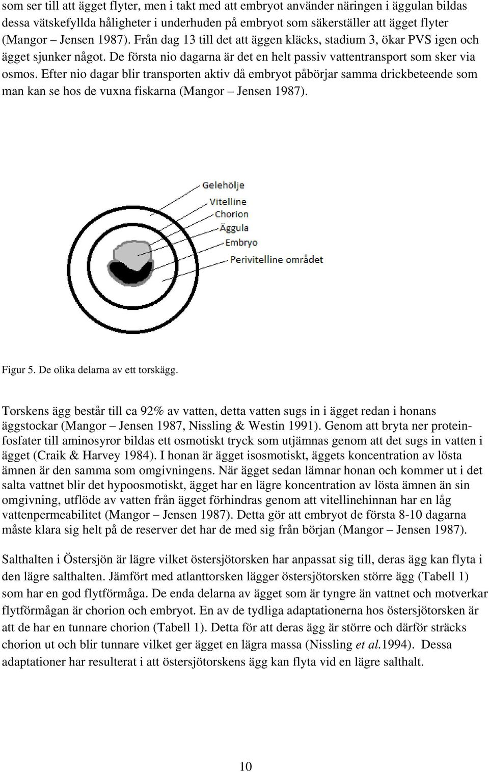 Efter nio dagar blir transporten aktiv då embryot påbörjar samma drickbeteende som man kan se hos de vuxna fiskarna (Mangor Jensen 1987). Figur 5. De olika delarna av ett torskägg.